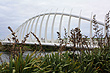 Te Rewa Rewa Bridge photo