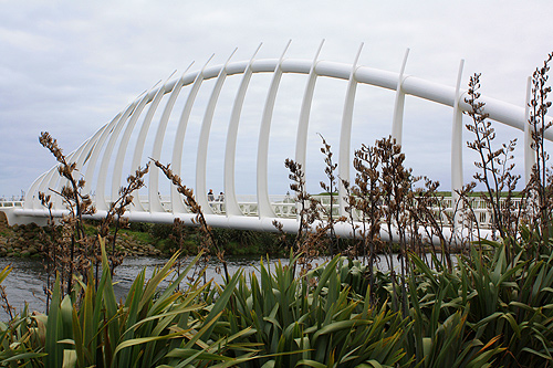 Coastal Walkway & Bridge photo