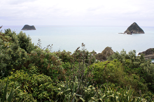 Moturoa and Motumahanga islands photo