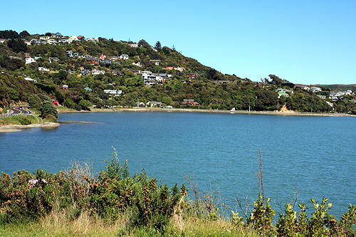 Pauatahanui Inlet Porirua photo