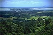 Rurla Rotorua photo