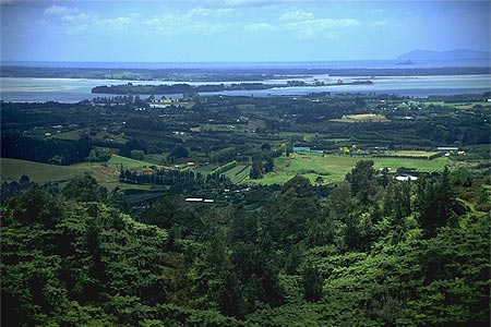 Rotorua Countryside photo