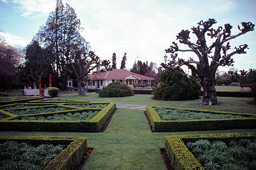 Government Gardens photo