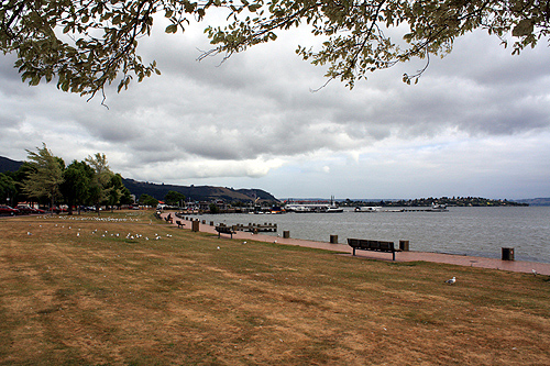 Lake Rotorua View photo