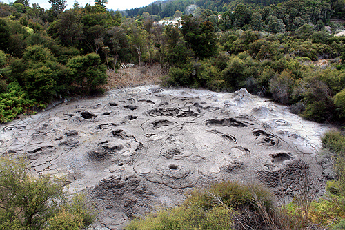 Ngamokaiakoko Mud Pool photo