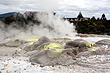 Te Puia Rotorua photo