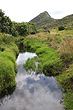 Wetlands photo