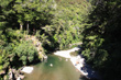 Kaitoke Regional Park photo