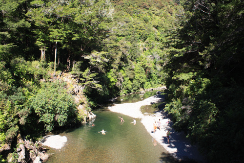 Kaitoke Regional Park Upper Hutt photo