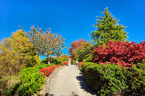 Aston Norwood Gardens photo