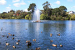 Virginia Lake Wanganui photo