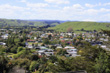 Winter Gardens Wanganui photo