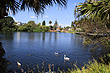 Virginia Lake Wanganui photo