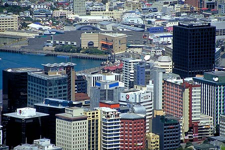 Downtown Wellington photo