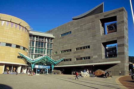 Te Papa photo