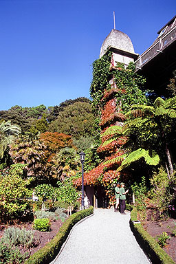 Treehouse Visitor Centre Wellington Botanical Gardens photo