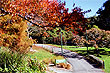 Autumn colours photo