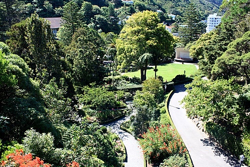 Wellington Botanic Gardens photo