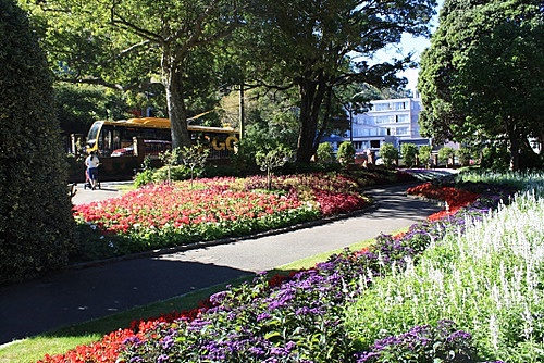 Wellington Botanic Gardens photo