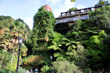 Wellington Botanic Gardens photo