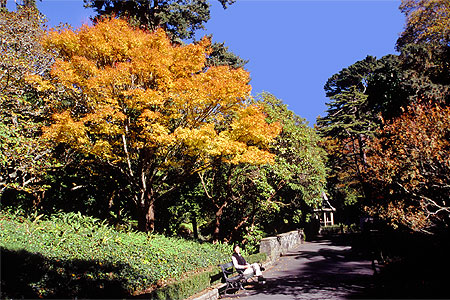 Autumn photo