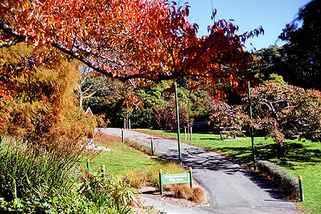Autumn photo