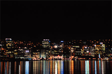 Wellington Night Skyline photo