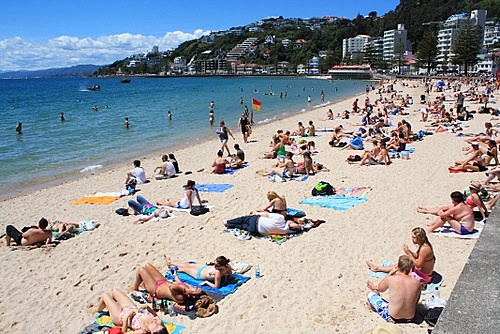 Oriental Bay Beach photo