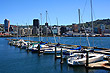 Wellington Skyline photo