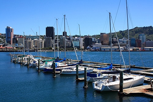 Wellington City Skyline photo