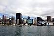 Wellington Skyline photo