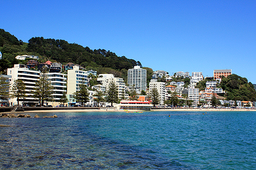 Oriental Bay Suburb photo