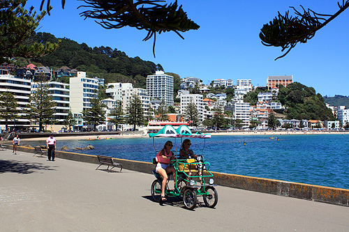 Oriental Bay Parade photo