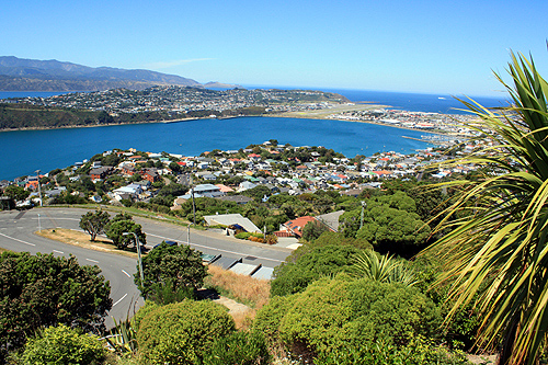 Eastern Suburbs in Wellington photo
