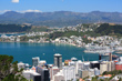 Wellington City & Harbour view photo