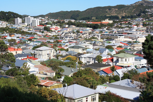 View of Newtown in Wellington photo