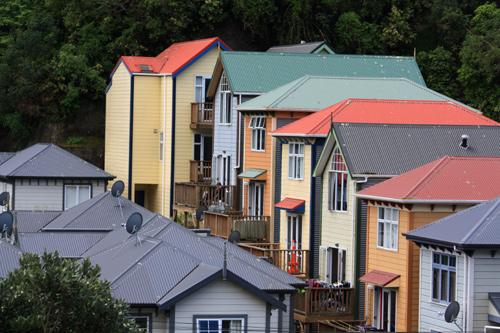 Aro Valley Housing photo