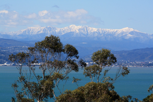 Wellington Harbour & Mountain View photo