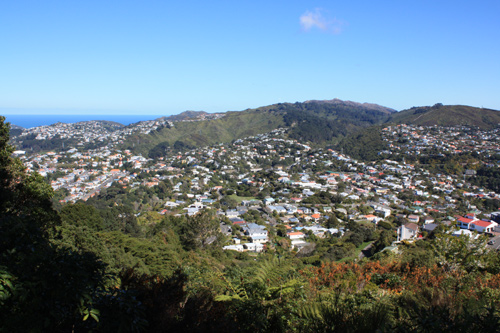 Stellin Memorial Park View photo