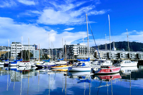 Port Nicholson Yacht Club & CBD photo