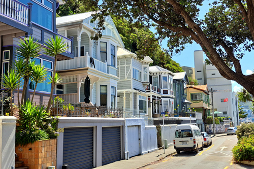 Oriental Bay Parade photo