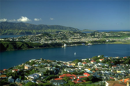 Eastern Suburbs Wellington photo