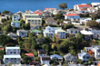 Houses in Hataitai photo photo