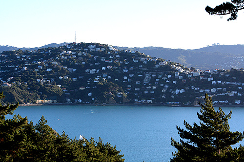 View of Roseneath from Miramar photo