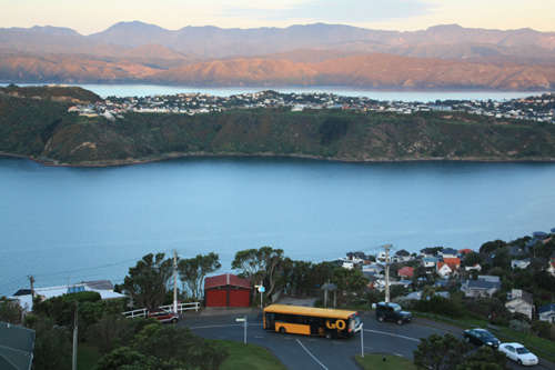 Evans Bay Sunset photo