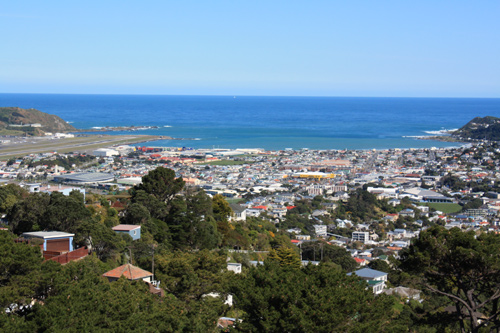 View of Kilbirne & Lyall Bay photo