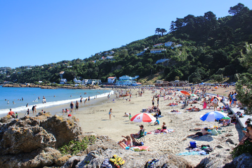Scorching Bay in Seatoun photo