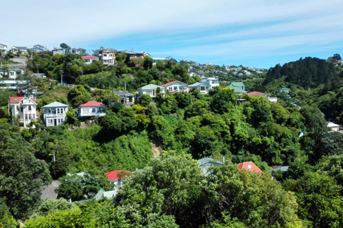 View of Highbury Wellington photo