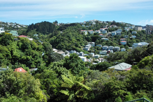 View of Aro Valley Wellington photo