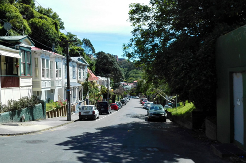 Epuni Street in Aro Valley photo